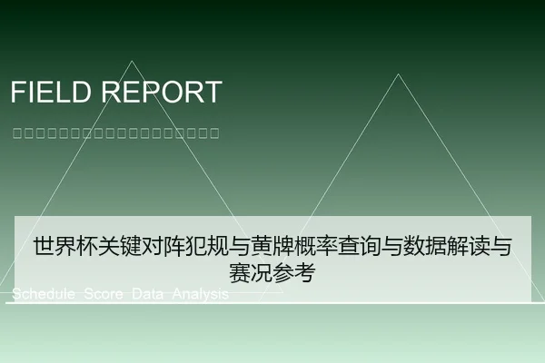世界杯关键对阵犯规与黄牌概率查询与数据解读与赛况参考